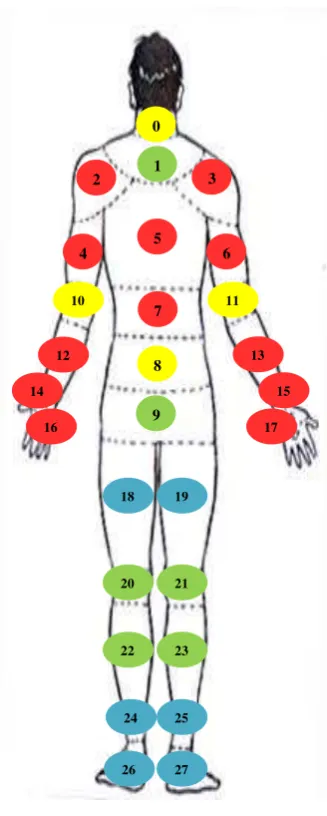 Gambar 5.2 Keluhan Musculoskeletal pada Pekerja 3 dan 4 