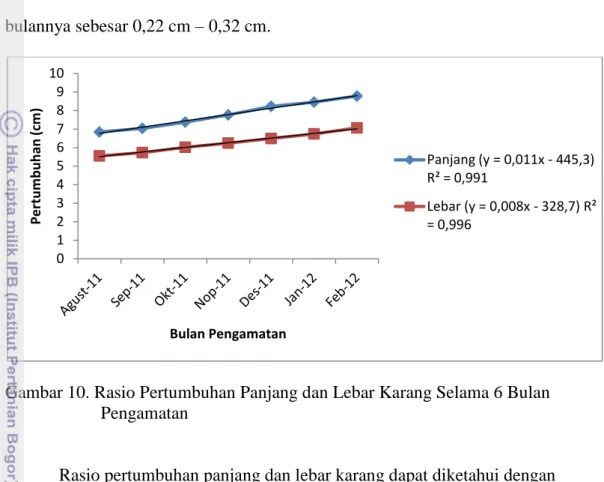 Gambar 10. Rasio Pertumbuhan Panjang dan Lebar Karang Selama 6 Bulan  Pengamatan  