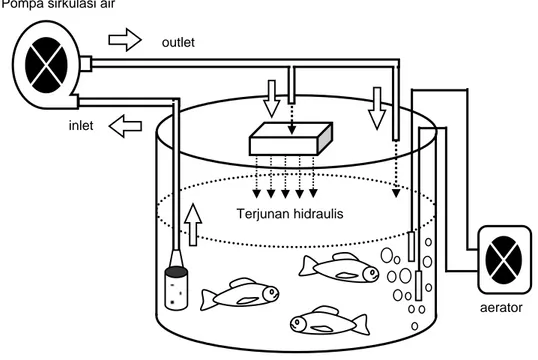 Gambar 1. Sistem kompartemen air-ikan. Pompa sirkulasi air 