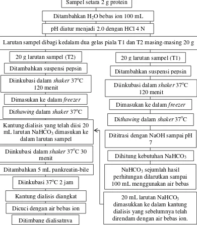 Gambar 3. Proses analisis ketersediaan biologis Zn (Roig et al. 1999) 