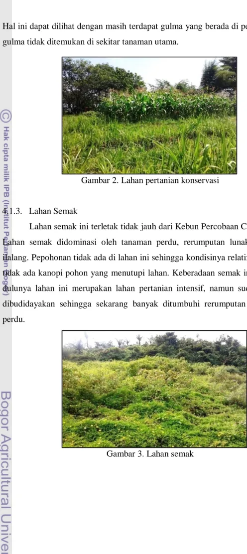 Gambar 2. Lahan pertanian konservasi 