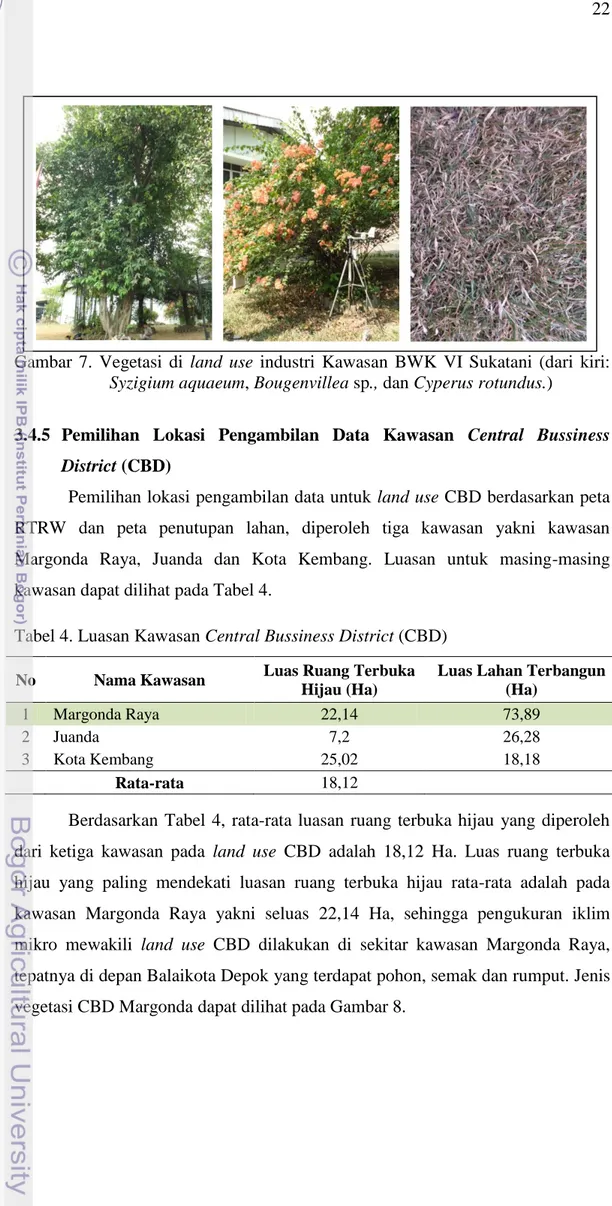 Gambar  7.  Vegetasi  di  land  use  industri  Kawasan  BWK  VI  Sukatani  (dari  kiri: 