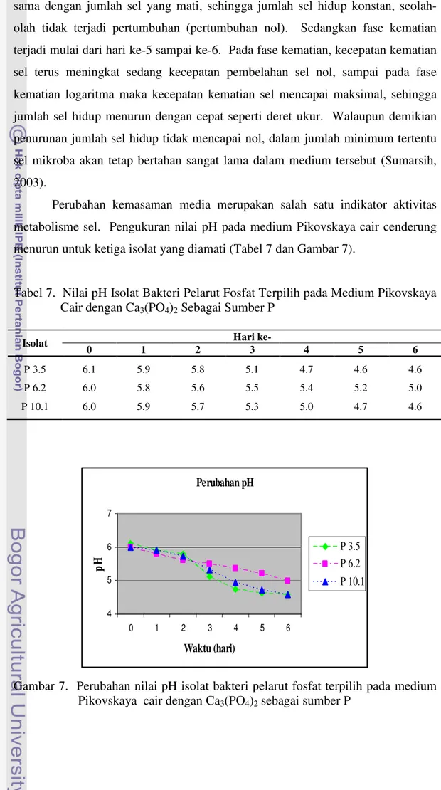 Tabel 7.  Nilai pH Isolat Bakteri Pelarut Fosfat Terpilih pada Medium Pikovskaya  Cair dengan Ca 3 (PO 4 ) 2  Sebagai Sumber P 