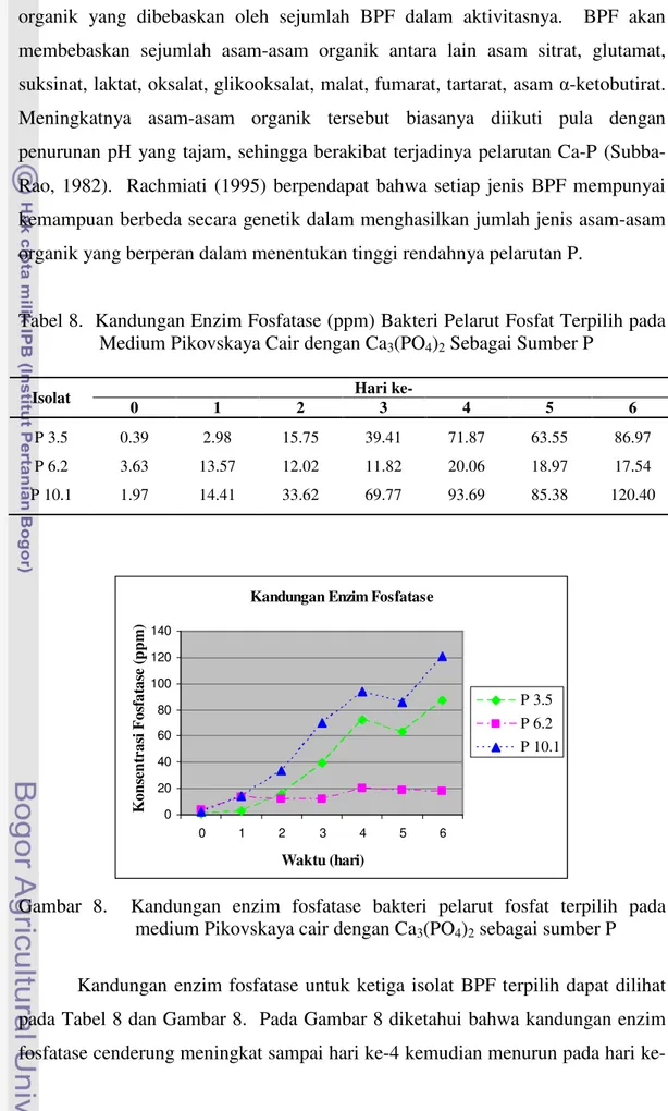 Tabel 8.  Kandungan Enzim Fosfatase (ppm) Bakteri Pelarut Fosfat Terpilih pada  Medium Pikovskaya Cair dengan Ca 3 (PO 4 ) 2  Sebagai Sumber P 