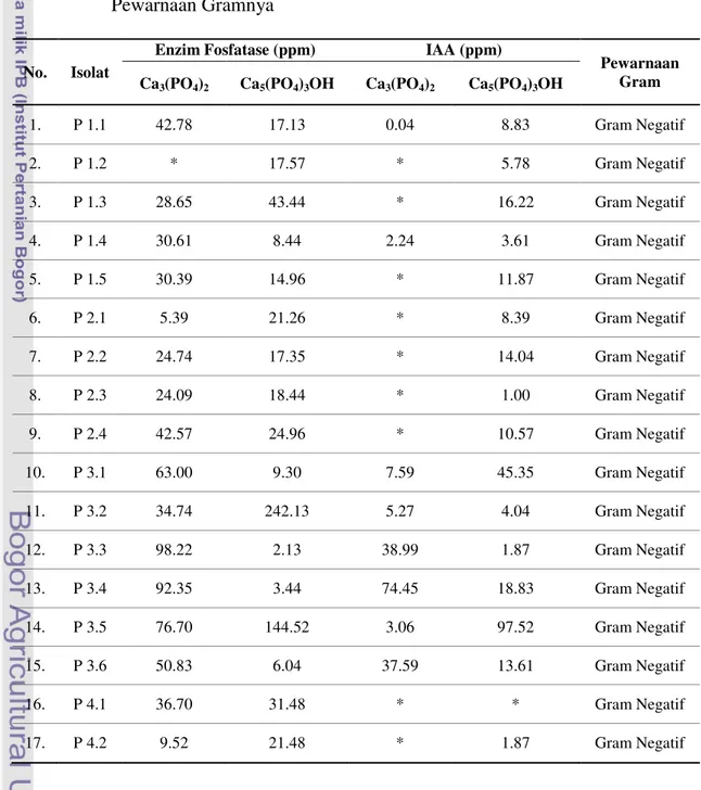 Tabel  2.    Kemampuan  Bakteri  Pelarut  Fosfat  dalam  Menghasilkan  Enzim  Fosfatase dan Indole Acetic Acid (IAA) Selama 3 Hari Inkubasi serta  Pewarnaan Gramnya 