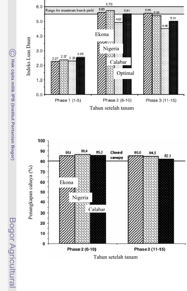 Gambar 4.  LAI kelapa sawit pada 3 fase umur secara berurutan Ekona, Nigeria, Calabar dan optimal LAI (Breure 2010).