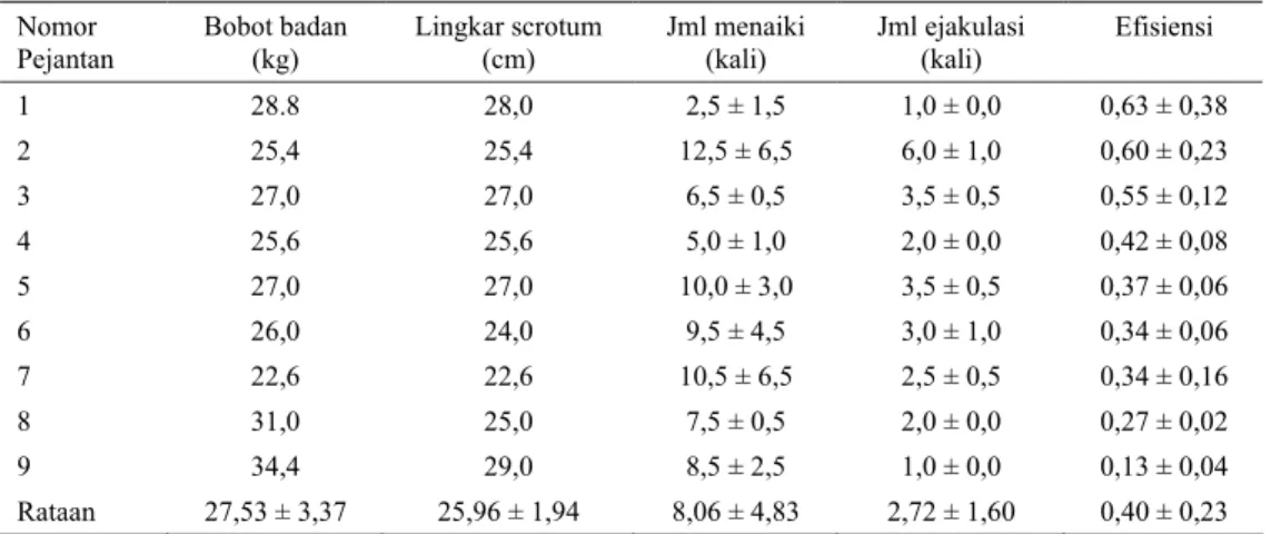 Tabel 4. Kinerja sexual domba jantan dengan dua kali pengamatan  Nomor  Pejantan  Bobot badan (kg)  Lingkar scrotum (cm)  Jml menaiki (kali)  Jml ejakulasi (kali)  Efisiensi  1  28.8  28,0  2,5 ± 1,5  1,0 ± 0,0  0,63 ± 0,38  2  25,4  25,4  12,5 ± 6,5  6,0 