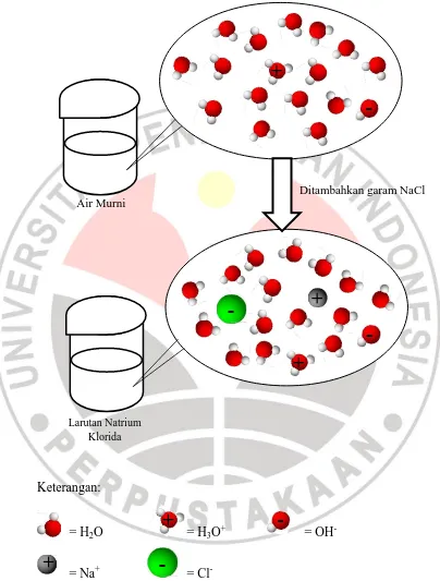 Gambar 2.4. Model Susunan Partikel dalam Larutan Natrium Klorida 