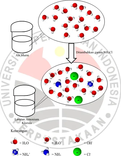 Gambar 2.6. Model Susunan Partikel dalam Larutan Amonium Klorida  