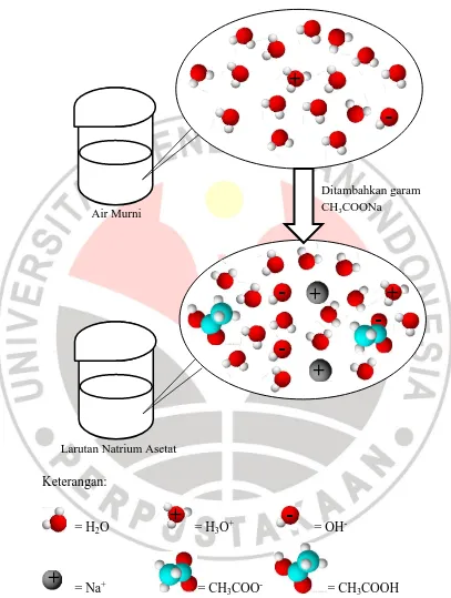 Gambar 2.8. Model Susunan Partikel dalam Larutan Natrium Asetat 