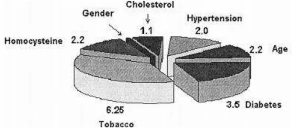 Gambar 7. Risiko relatif PAP dengan setiap faktor risiko aterosklerosis 33