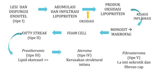 Gambar 2. Patogenesis PAP 4