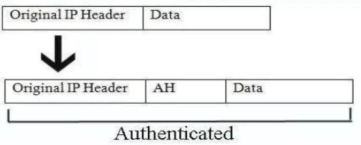 Gambar 2.16 Packet AH transport mode 