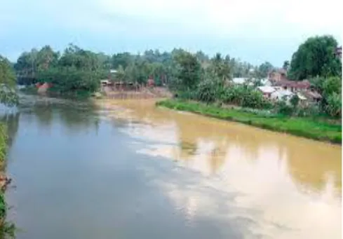 Gambar 1.16. Dampak Pertambangan Tanpa Izin (PETI) Bahan Galian Emas  di Sungai Batang Merangin Muara Sungai Masumai Kabupaten  Merangin Tahun 2015