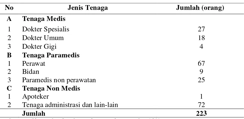 Tabel 4.1 Distribusi Jenis Tenaga di Rumah Sakit Bhayangkara Tingkat II Medan  