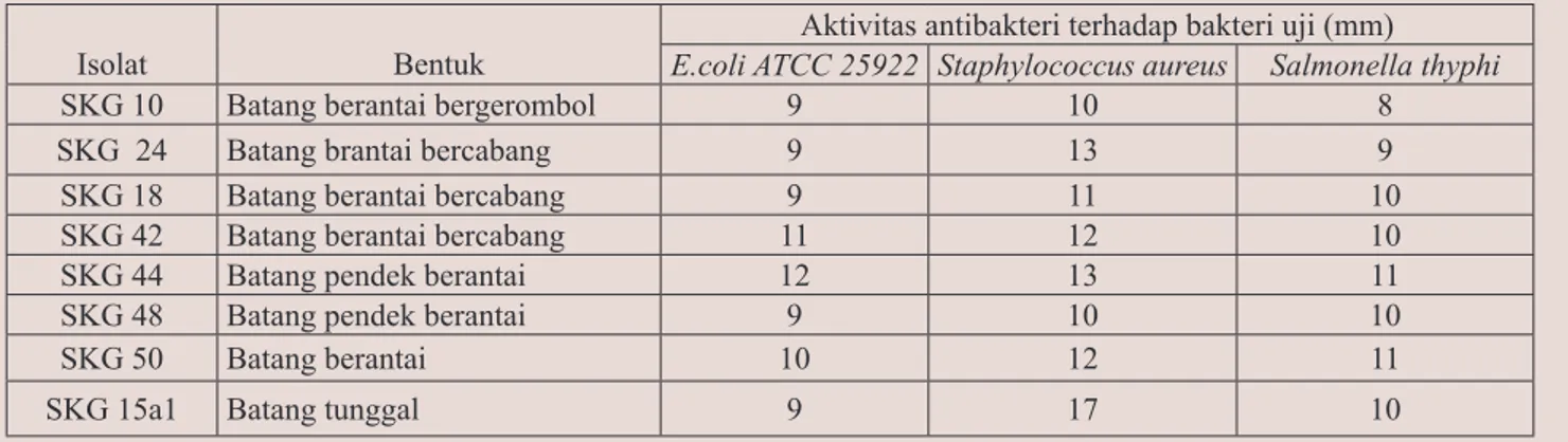 Tabel 1. Aktivitas Antibakteri Isolat BAL yang Terbesar