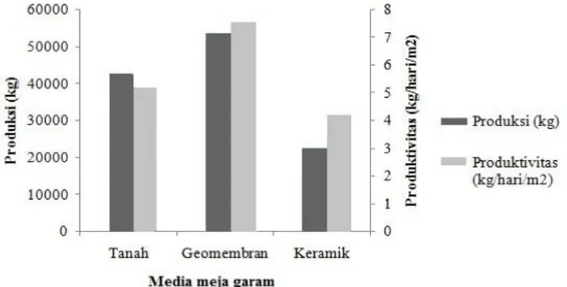 Gambar 7. Grafik Produksi Dan Produktivitas Ketiga Media Meja Garam Meja Garam   (Sumber: Data Primer Yang Diolah 2014)