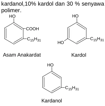 Gambar 1. Struktur Bangun CNSL  