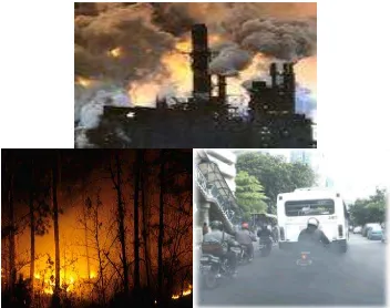 Gambar 5.1 Sumber Pencemar Pabrik, Kebakaran Hutan, dan Kendaraan Bermotor 