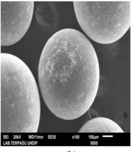 Gambar 4.1. Uji SEM pembesaran 100 µm pada (a)Purolite A400 (b)Purolite A400-Cu 