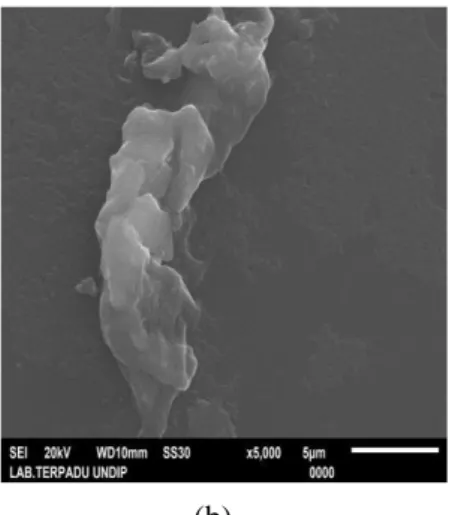 Gambar 4.2.  Uji SEM pemebesaran 5.000 µm pada (c) Purolite A400 (d) Purolite  A400-Cu 