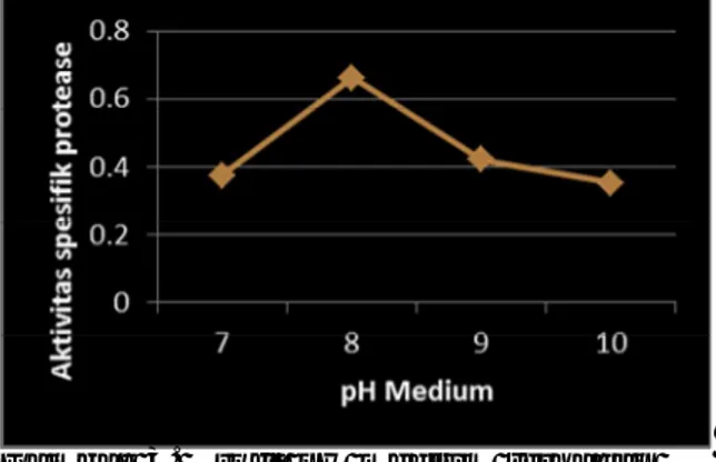 Gambar  2.  Profil  suhu  inkubasi  terhadap  aktivitas  spesifik  protease  pada pH 8 