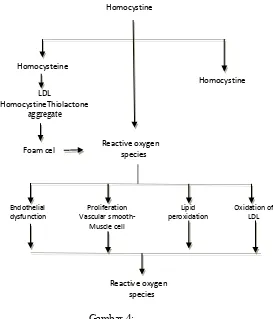 Gambar 4: Homosistein dan kelainan vaskuler 