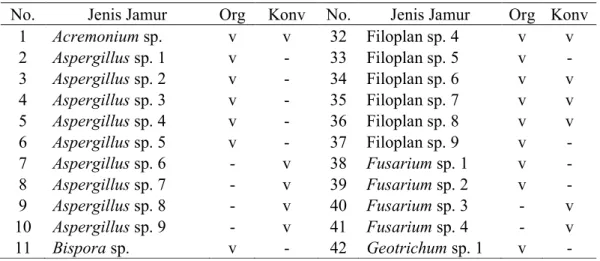 Tabel 1. Hasil Isolasi dan Identifikasi Jamur Filoplan Tanaman Kangkung Darat  No.  Jenis Jamur  Org  Konv  No