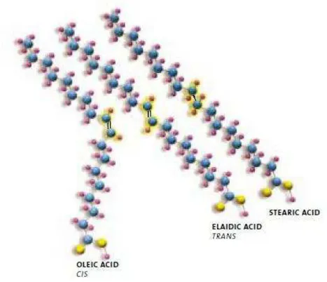 Gambar 1. Struktur kimia berbagai macam asam lemak  Sumber: Stender S 5