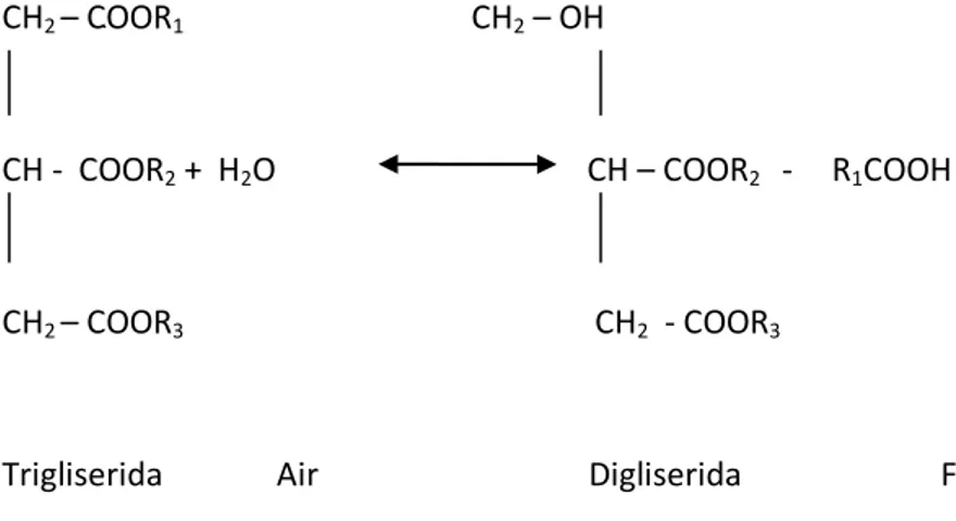 Gambar 3. Reaksi Hidrolisis secara Kimia. 