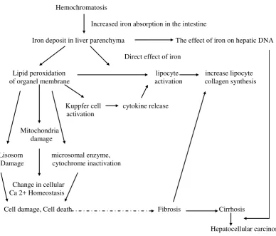 Figure 2. Correlation between blood ferritin and glucose level 