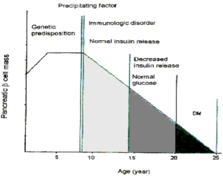 Figure 4. The stages of type I DM.  (cited and modified from Kumar et al.9) 