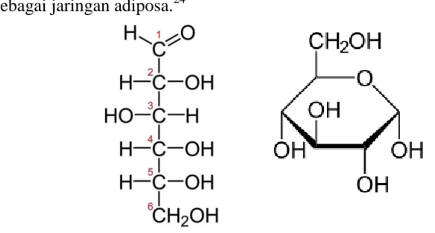 Gambar 3. Struktur molekul D-Glukosa 23