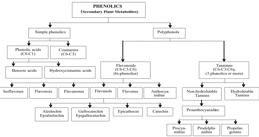Gambar 1.  Skema klasifikasi polifenol berdasarkan jumlah sub-unit fenol dan hierarki monomer serta polimer   senyawa flavonoid  (Sumber: Robbins et al., 2006) 