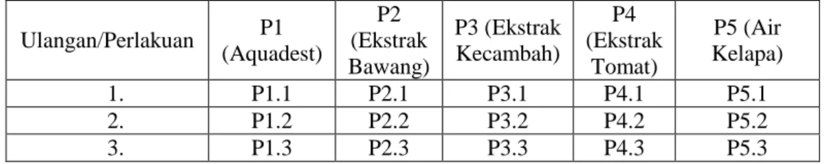 Tabel III. Tabel Perlakuan  Ulangan/Perlakuan  P1  (Aquadest)  P2  (Ekstrak  Bawang)  P3 (Ekstrak Kecambah)  P4  (Ekstrak Tomat)  P5 (Air  Kelapa)  1