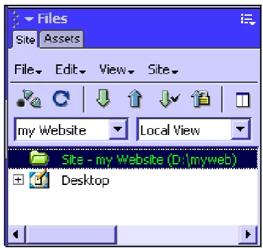 Gambar 10.7. Informasi site pada Site Panel.