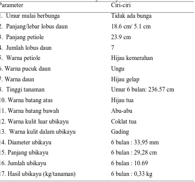 Tabel 4. Hasil identifikasi karakter ubikayu Malaysia Umur 6 bulan Parameter Ciri-ciri  