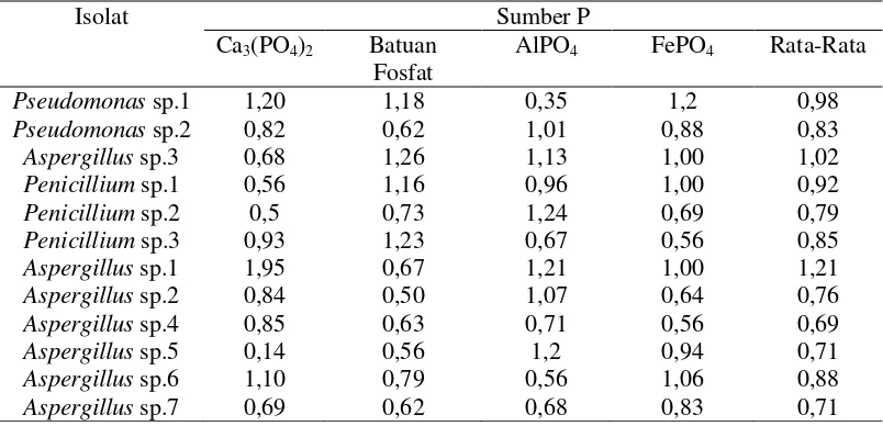 Tabel 1. Nilai indeks pelarutan fosfat dari pengujian media padat dengan berbagai sumber P  setelah inkubasi 5 hari 