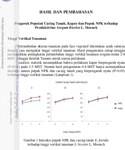 Gambar 1 Interaksi pupuk NPK dan cacing tanah E. foetidaterhadap tinggi vertikal tanaman S
