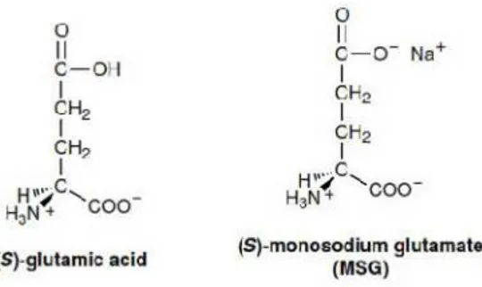 Gambar 1. Struktur kimia asam glutamat dan MSG 19