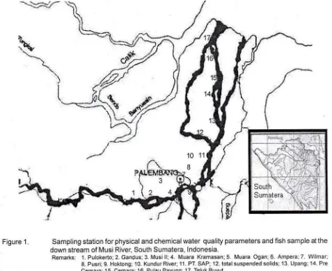 Figure 1.Sampling station for physical and chemical water quality parameters down stream of Musi River, South Sumatera, lndonesia.
