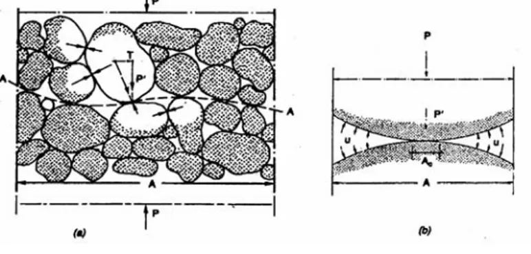 Gambar I. 1 Gaya antar butiran (a), kontak antar butir (b) 
