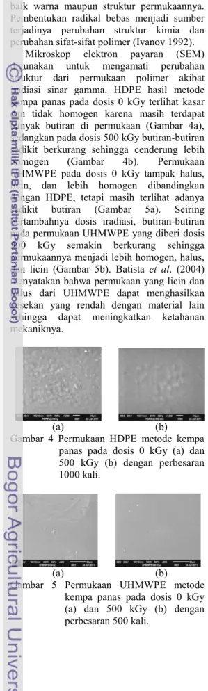 Gambar  4  Permukaan  HDPE  metode  panas  pada  dosis  0  kGy  (a)  dan 500  kGy  (b)
