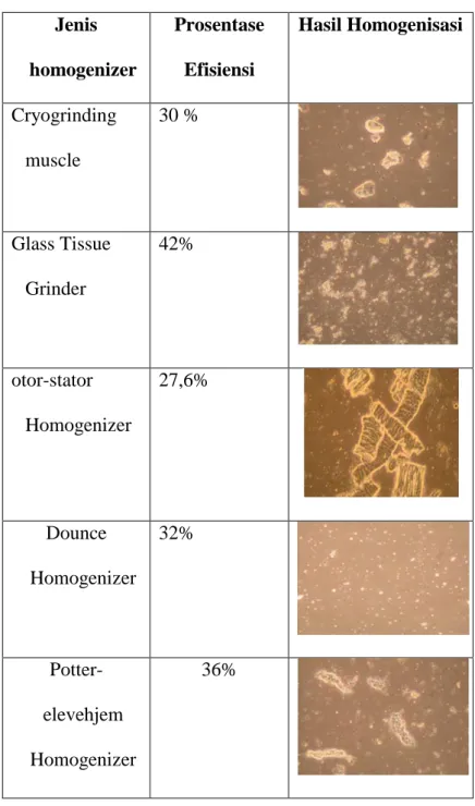 Tabel 2.2 Prosentasi Efisiensi Homogenisasi [8].  Jenis  homogenizer  Prosentase Efisiensi  Hasil Homogenisasi  Cryogrinding  muscle  30 %  Glass Tissue  Grinder  42%  otor-stator  Homogenizer  27,6%  Dounce  Homogenizer  32%   Potter-elevehjem  Homogenize