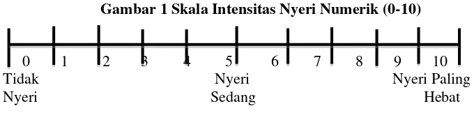 Gambar 1 Skala Intensitas Nyeri Numerik (0-10) 