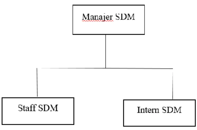 Gambar 3.1 Struktur Kedudukan dan Koordinasi. 