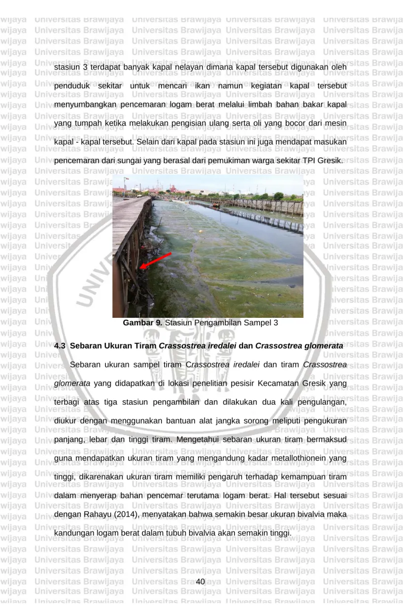 Gambar 9. Stasiun Pengambilan Sampel 3 