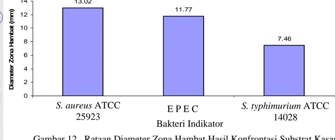 Gambar 12.  Rataan Diameter Zona Hambat Hasil Konfrontasi Substrat Kasar   Bakteriosin  pada  Media  Tripton  dengan  Penambahan  Enzim  Katalase terhadap Bakteri Indikator 