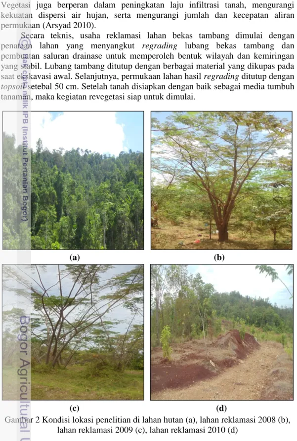 Gambar 2 Kondisi lokasi penelitian di lahan hutan (a), lahan reklamasi 2008 (b),  lahan reklamasi 2009 (c), lahan reklamasi 2010 (d) 
