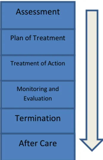 Gambar 2.2 Tahapan pelaksanaan CSR Assessment Plan of Treatment   Monitoring and  Evaluation  Treatment of Action  After Care  Termination 